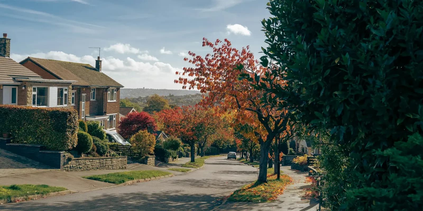 Quiet residential street of brick semi-detached houses with autumn trees