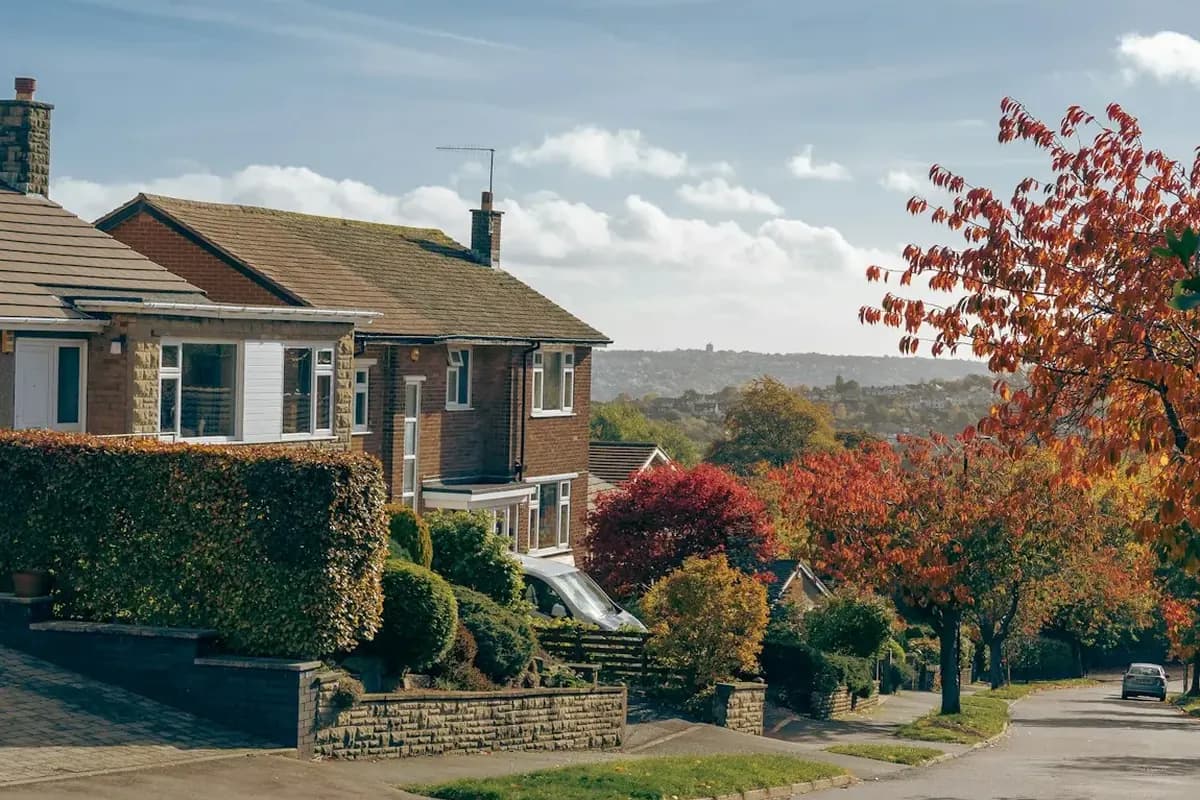 Detached and semi-detached homes behind front hedges