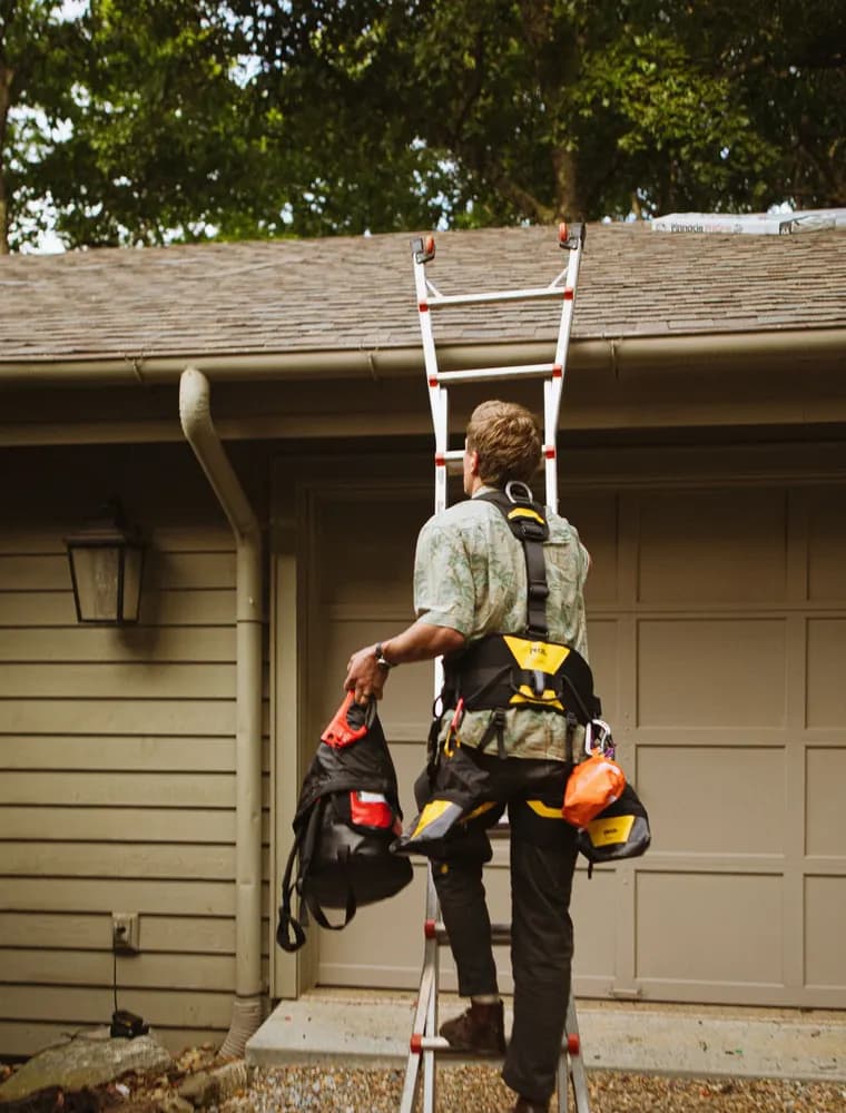 Tradesperson climbing a ladder to reach the gutters of a house