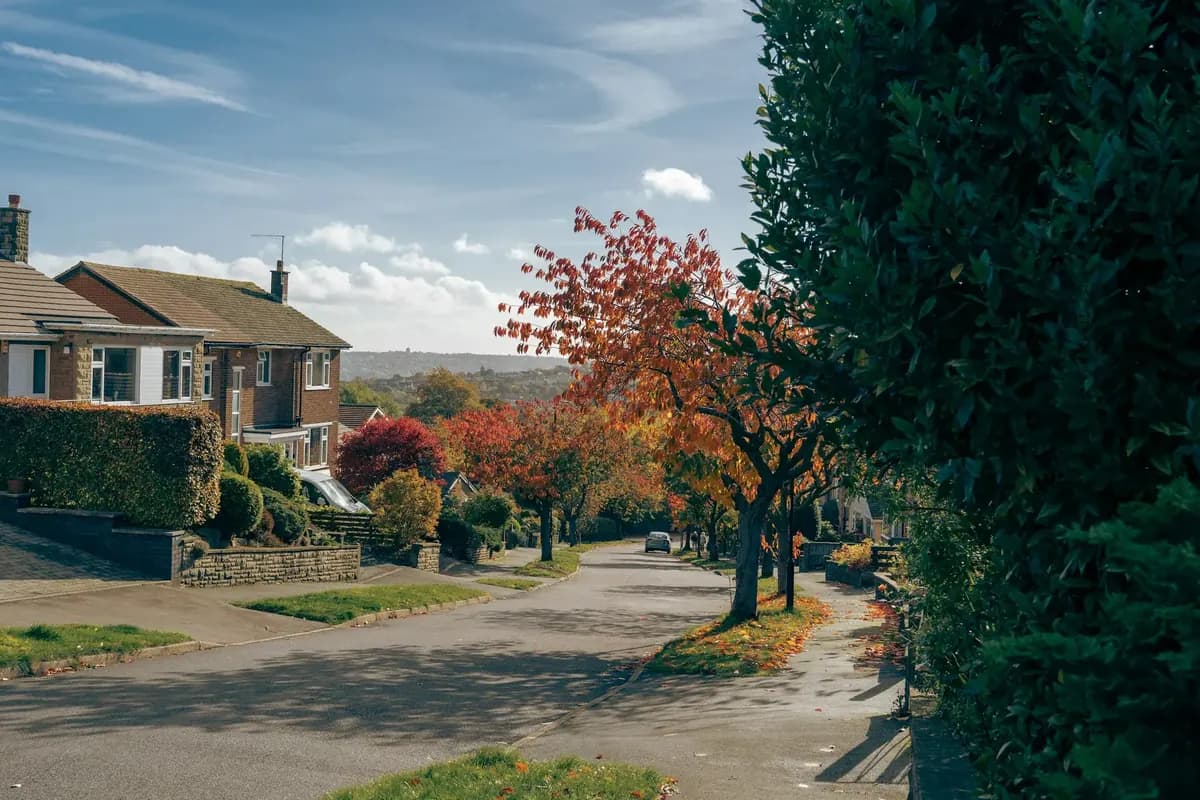 A quiet residential street with semi-detached houses