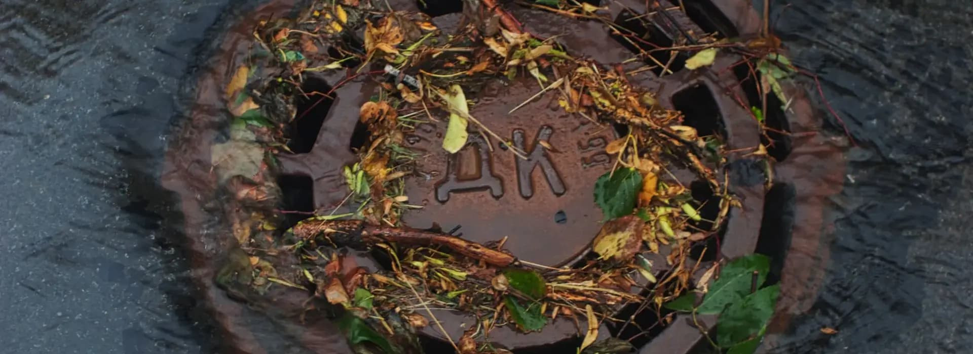Road gully blocked with leaves and debris in the rain