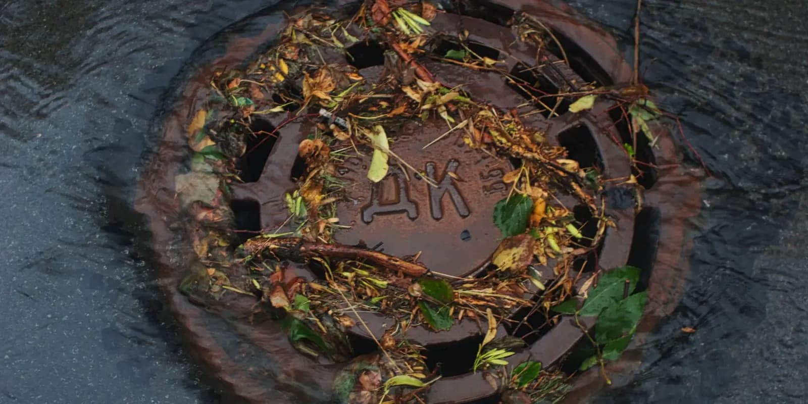 Round drain grate covered in wet leaves and twigs in standing rainwater
